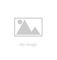 فیگور مستر بین